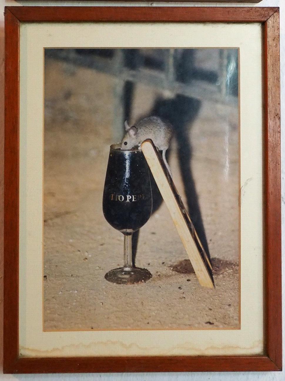 Myš pije sherry
