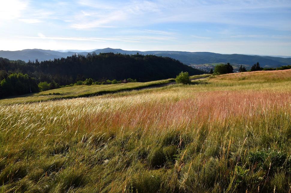lúky nad Červenou studňou