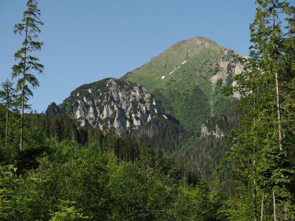 Obrázok blogu