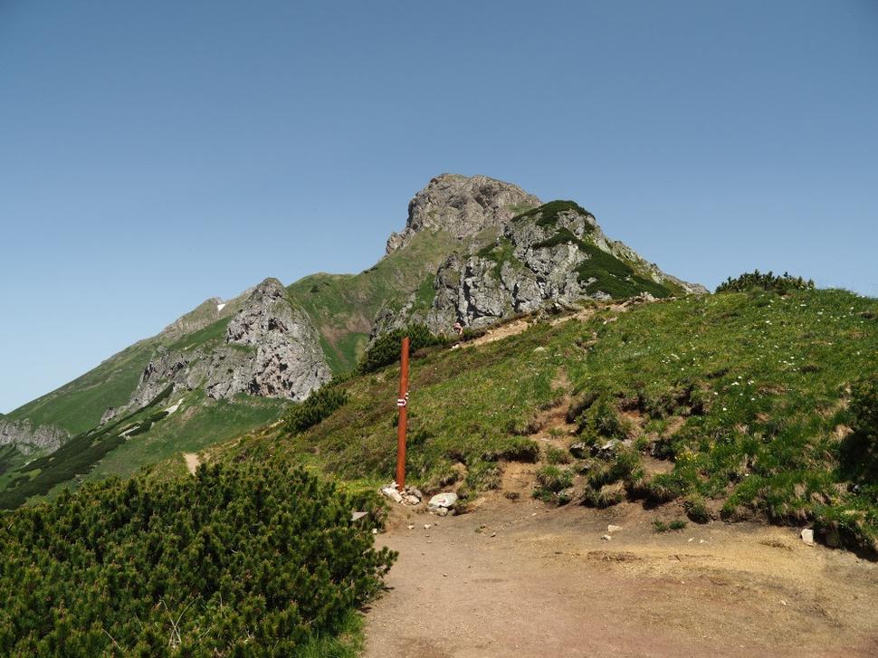 Obrázok blogu