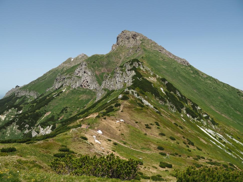 Obrázok blogu