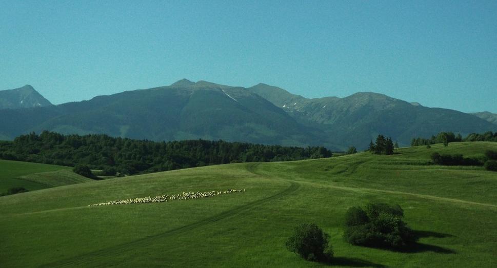 Obrázok blogu