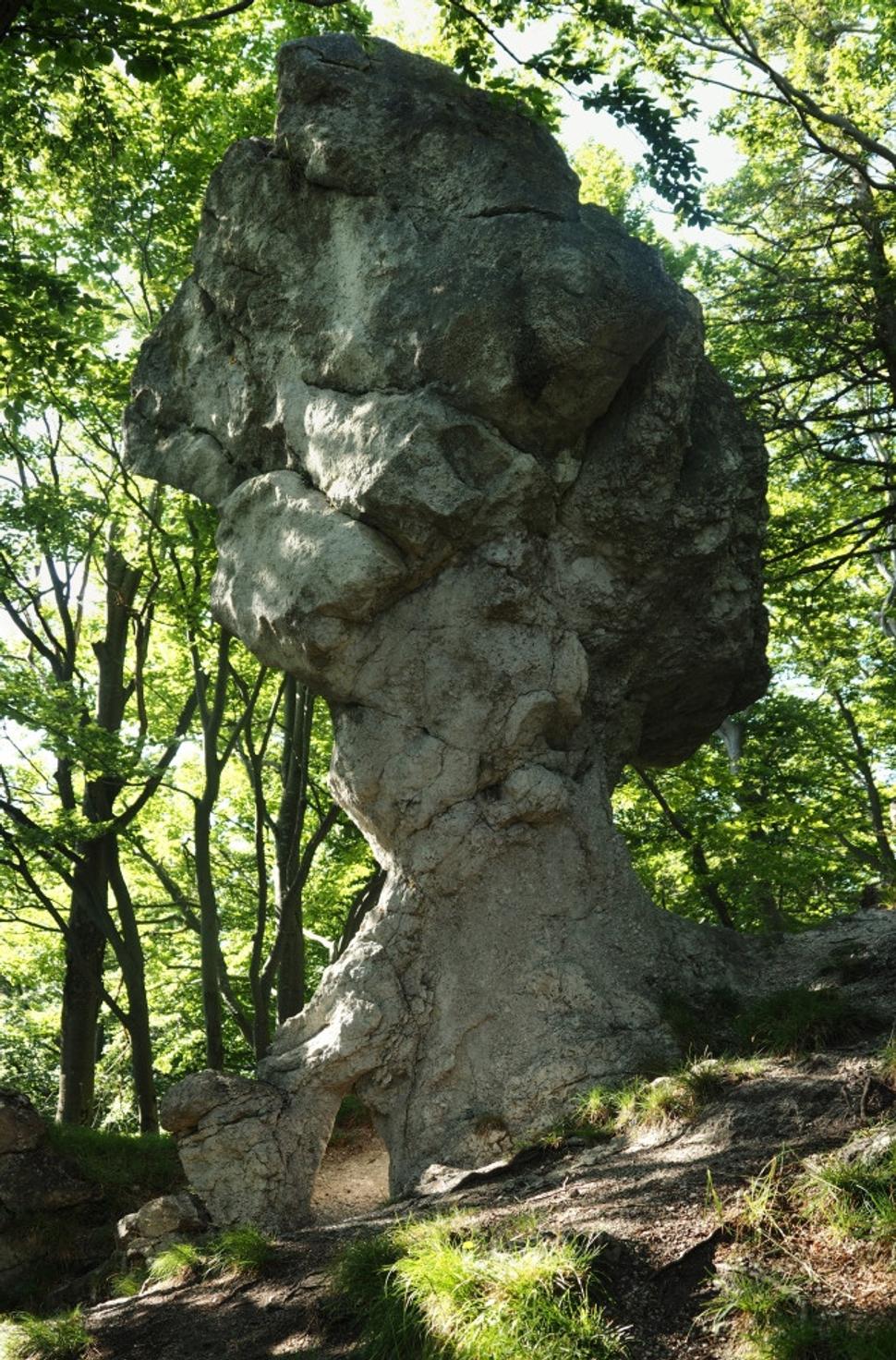 Obrázok blogu