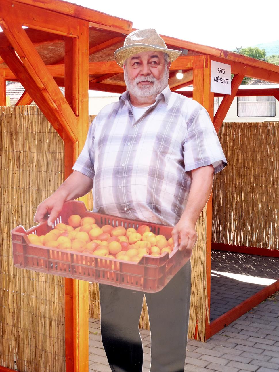 1.Maketa z kartónu