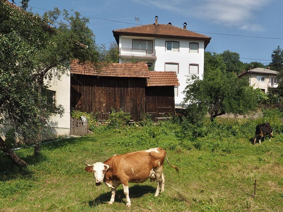 Cestou do Kladanje