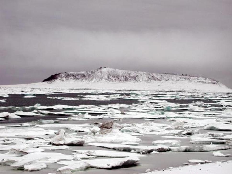 Fotografia Cape North/Cape Schmidt