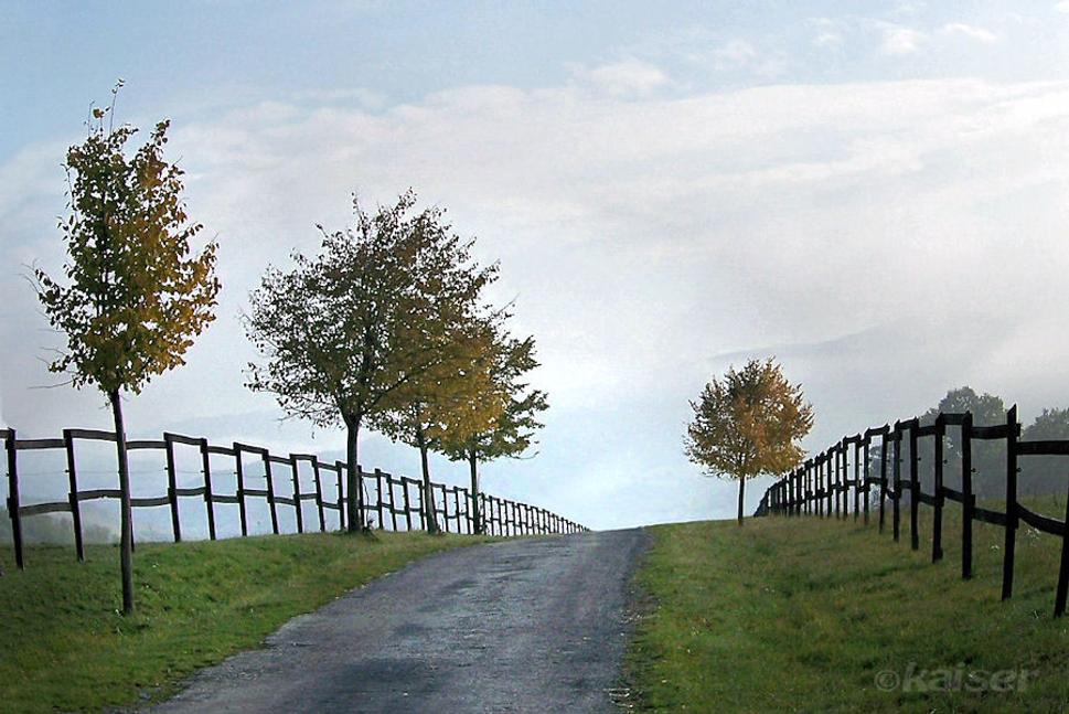 Turisticky značkovaný chodník z Topoľčianok na hrad Hrušov