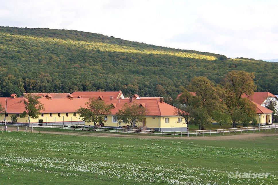 Žrebčín Backová - Hostie
