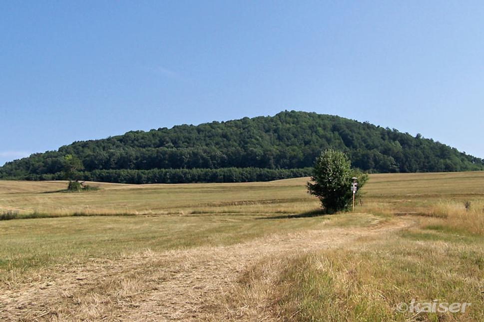 Vápencový vrch Kruh (580 m) nad Skýcovom