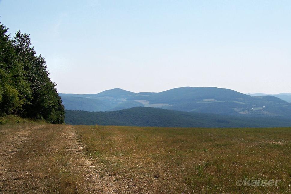 Pohľad do Hlbokej doliny a na Drieňovú (552 m) nad Jedľovými Kostoľanmi