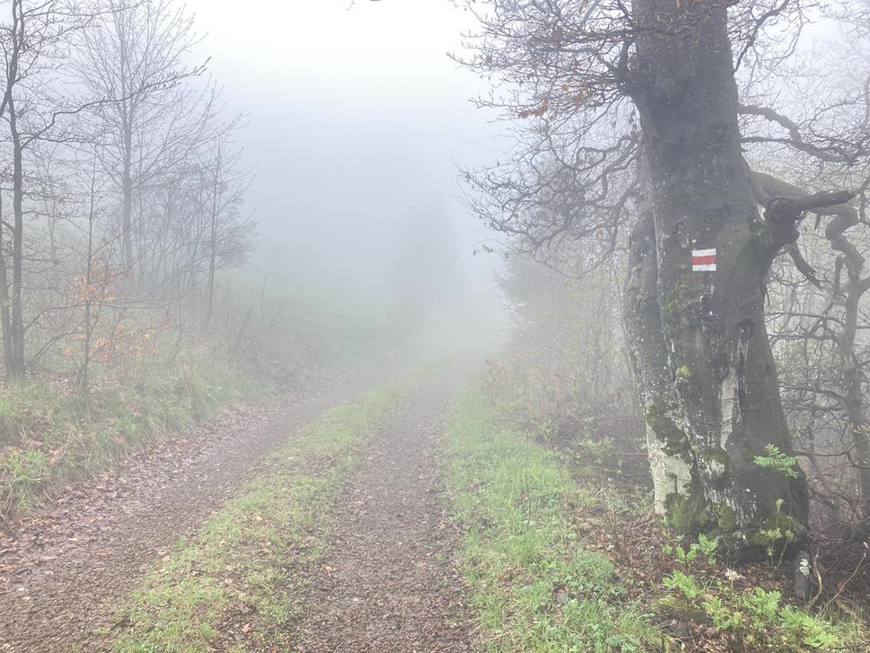 Vo Volovských vrchoch ma v hmle na trase udržiavalo červené značenie a gps v telefóne.