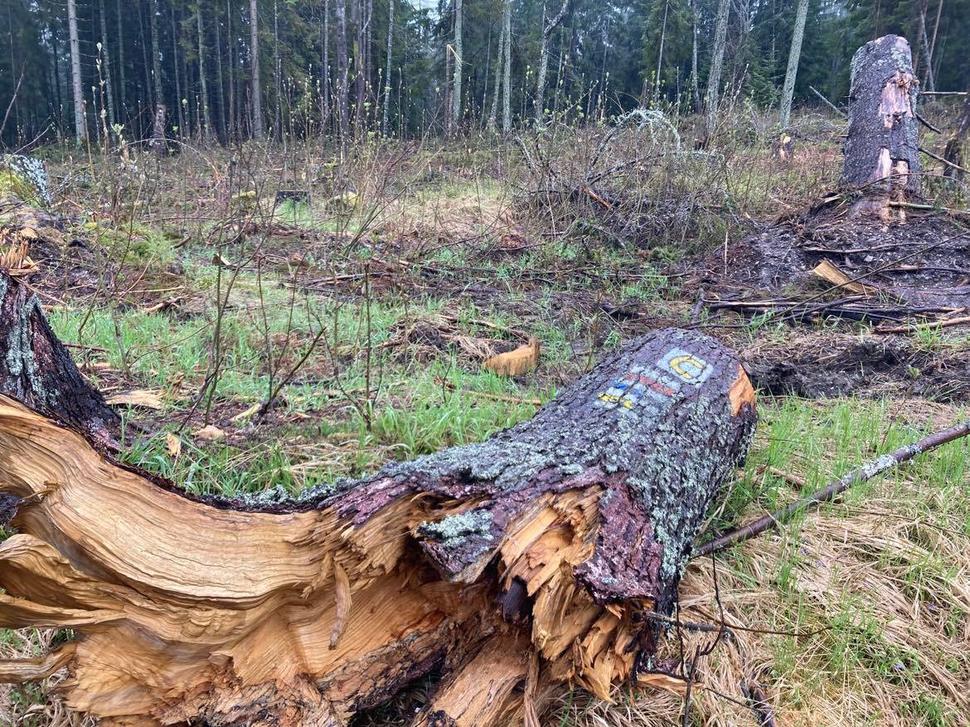 Mrzí ma, že minulý rok neprešiel zákon o ochrane turistických chodníkov.