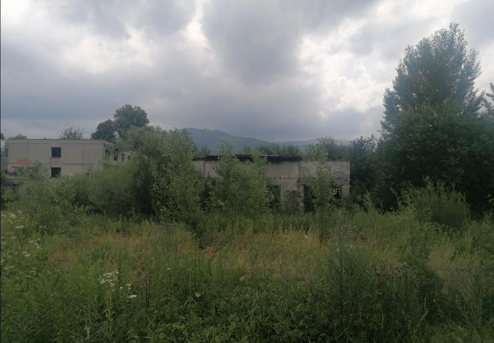 Obrázok blogu