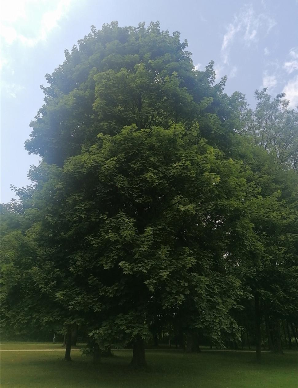 Obrázok blogu