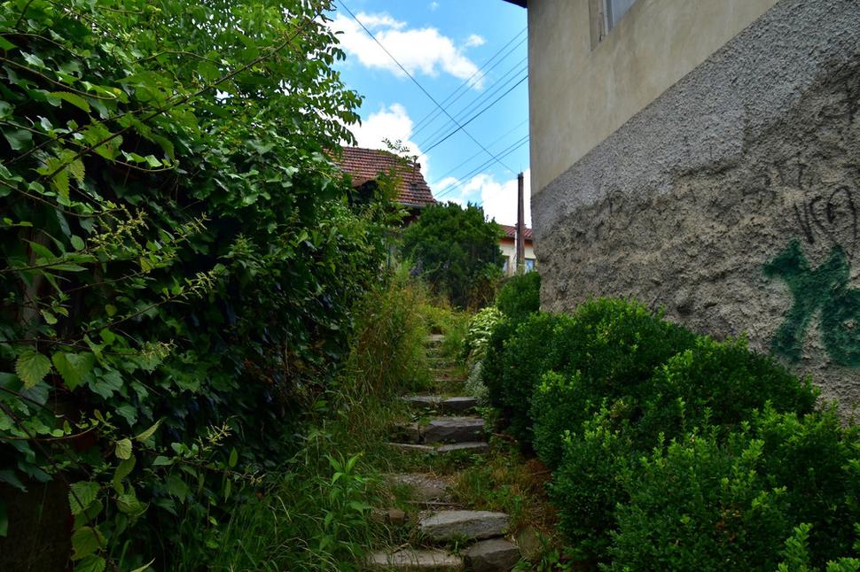 Obrázok blogu
