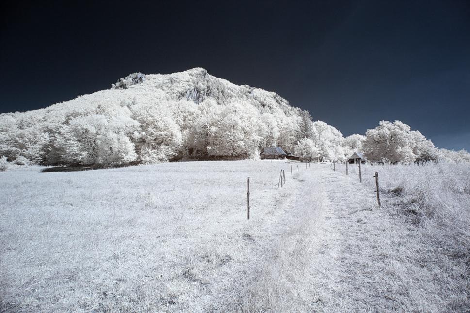 Podšíp. Vstup na lúku od severu po žltej značke. Cestička lemovaná oplôtkami pre dobytok.
/Infrared/