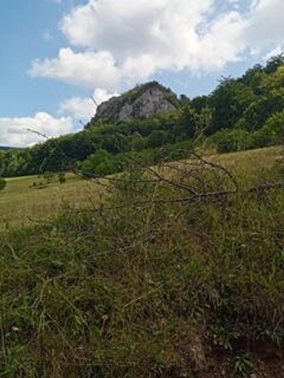 Cieľ vytýčený