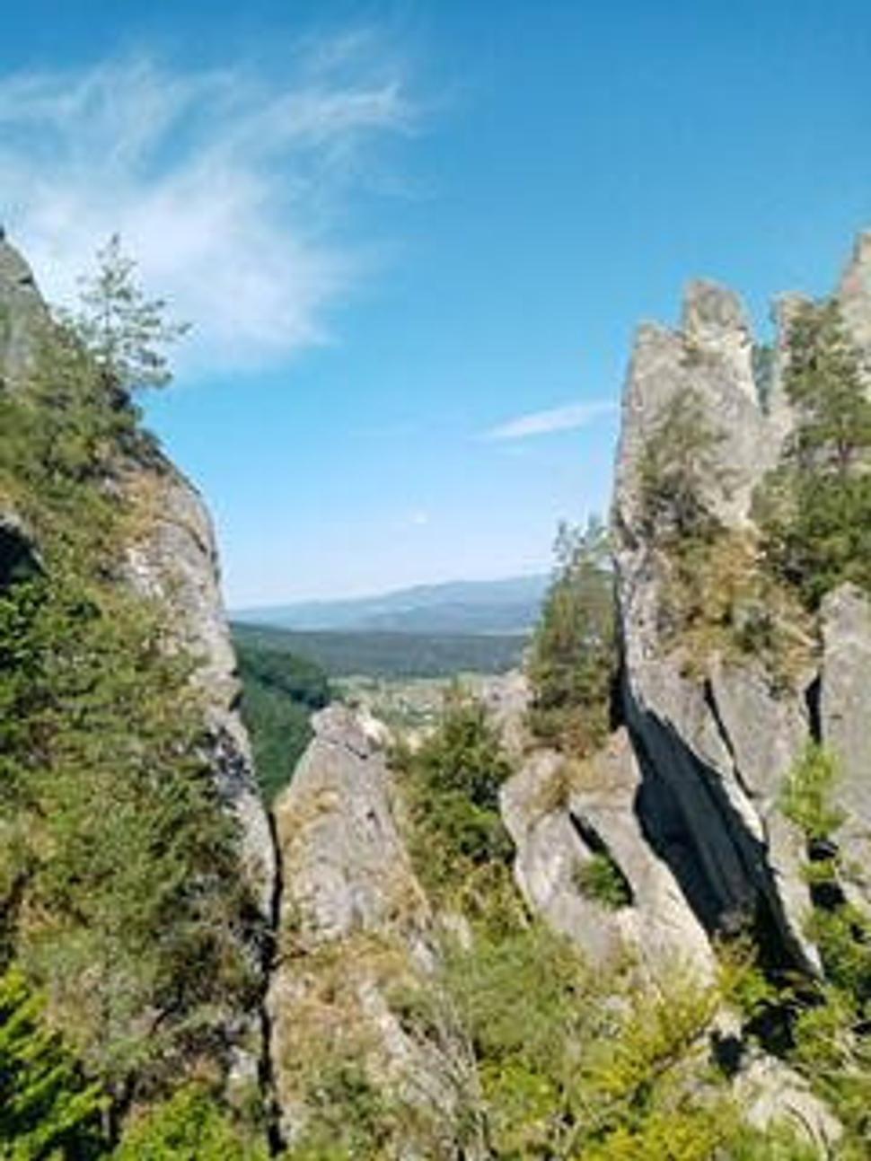 Príroda čarodejka