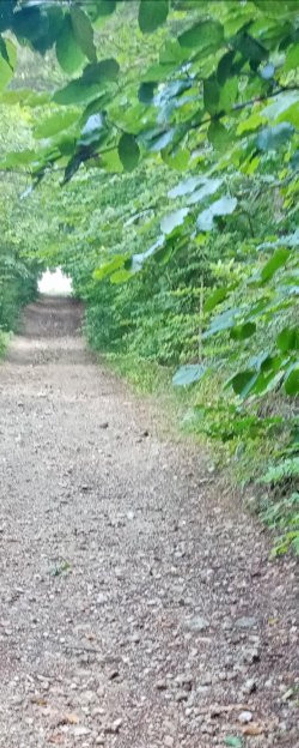 brána postavená bez človeka