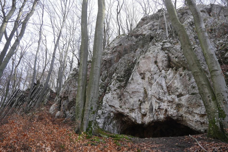 Tmavá skala
