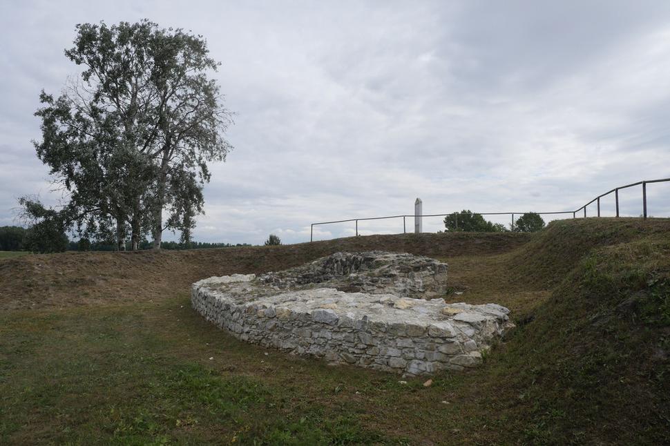Iža