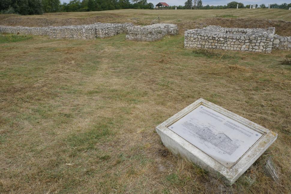 Iža