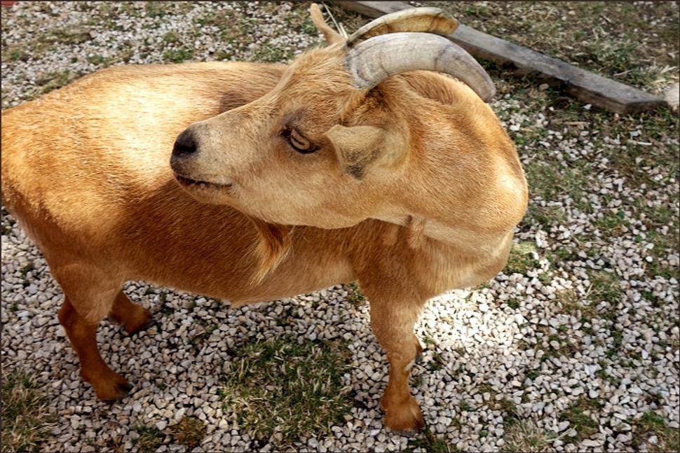 Obrázok blogu