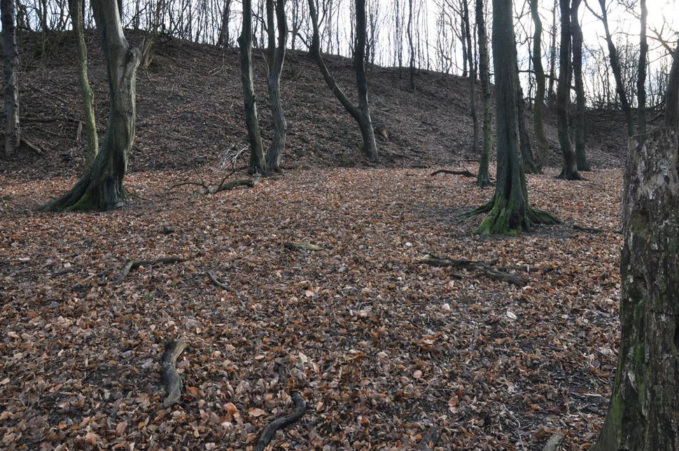 Bazgovič