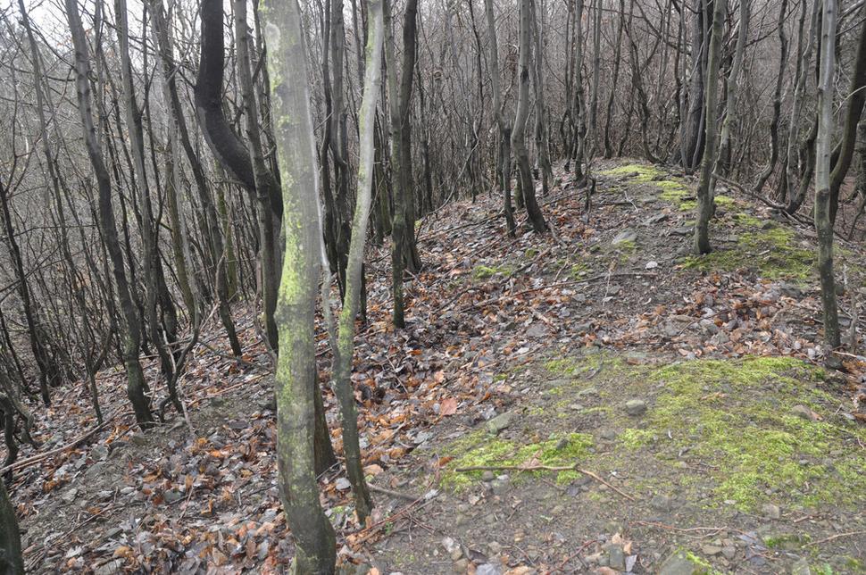 Bazgovič