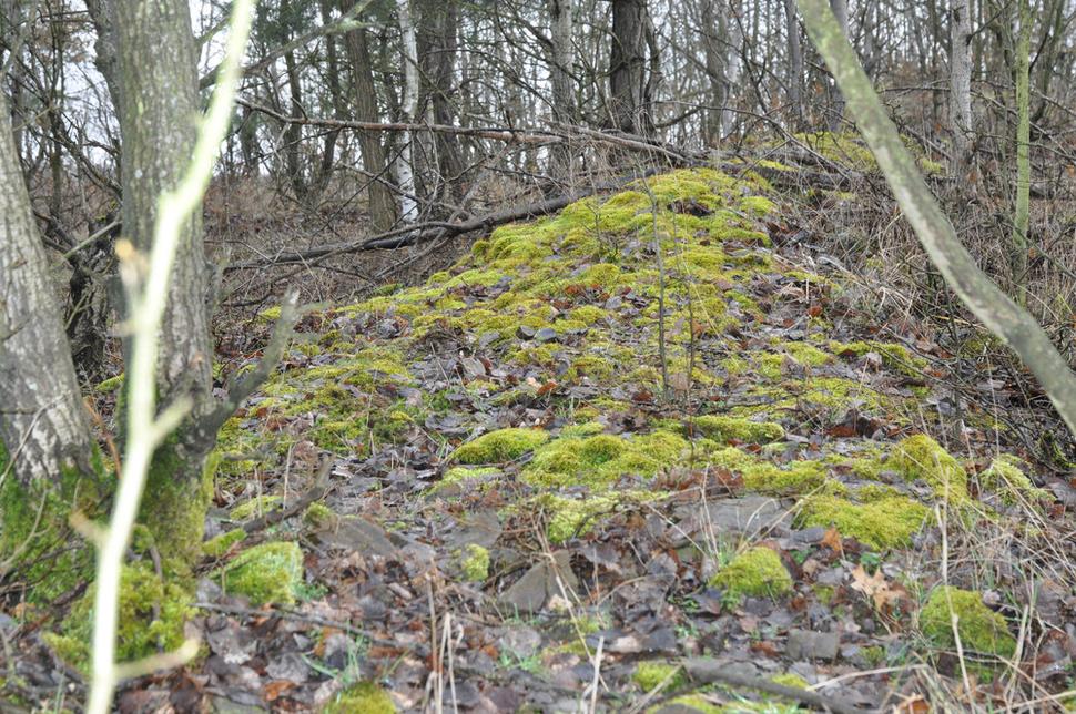 Bazgovič