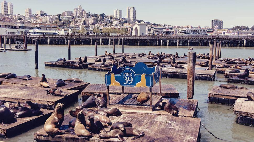 San Francisco Bay, Pier 39