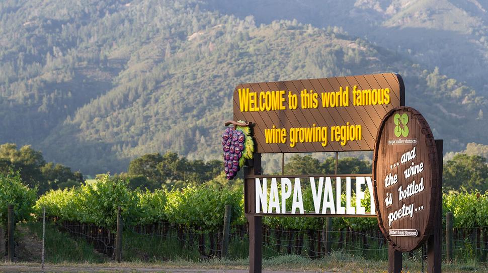 Vinice v Napa Valley
