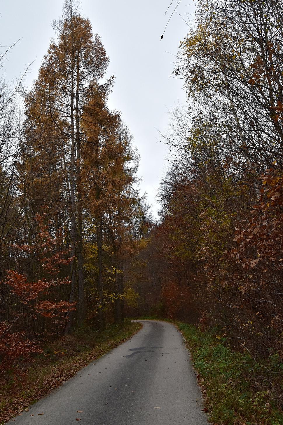 Obrázok blogu