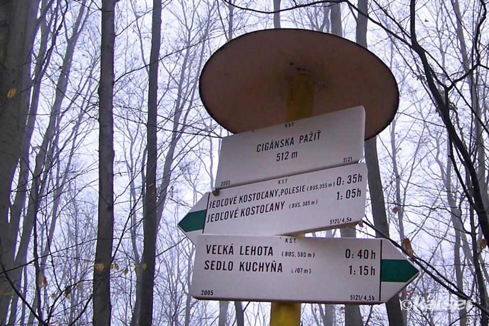 Cigánska pažiť (512 m)