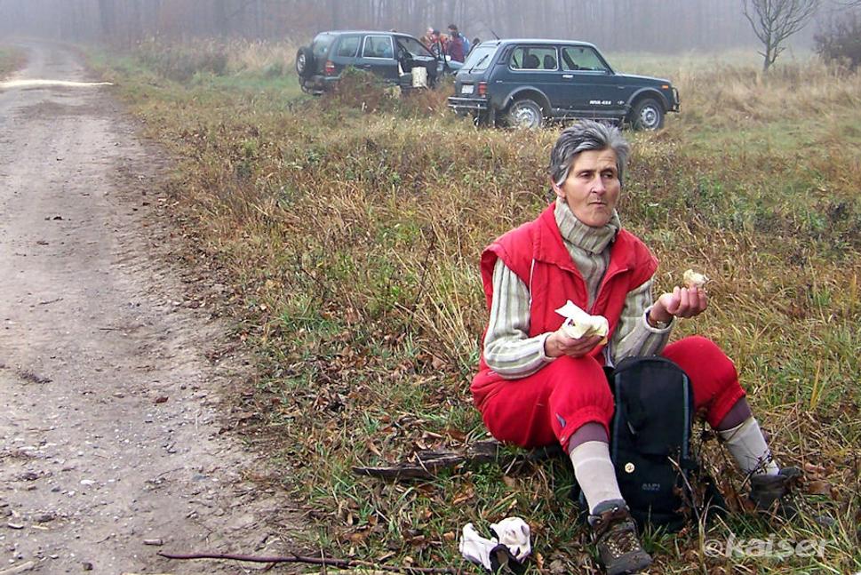 Na Cigánskej pažiti