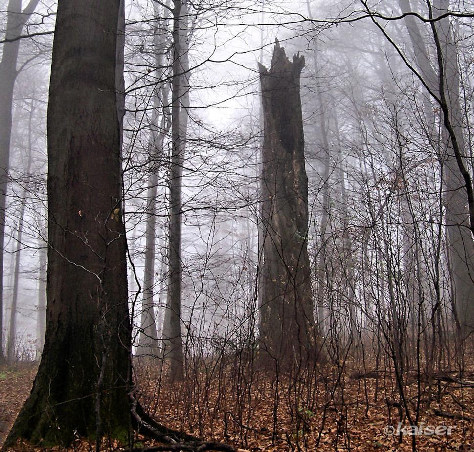 Pod vrcholom Veľkého Inovca