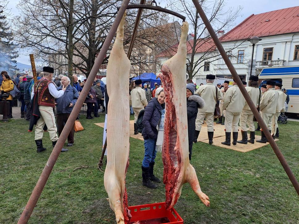 Jarmočné prasa