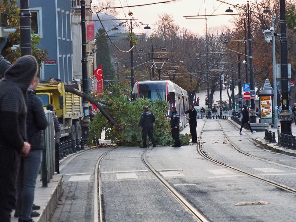 Strom spadnutý na elektičkovú trať