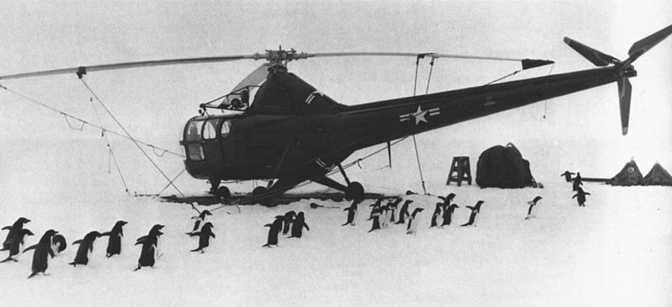 Tučniaky Adelie pri vrtuľníku Amarického námorníctva Sikorsky HO3S-1 počas Operácie Highjump, Antarktída, 1948.
