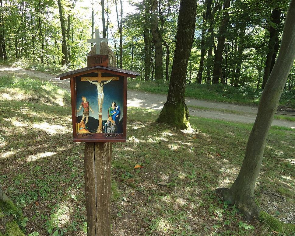Obrázok blogu