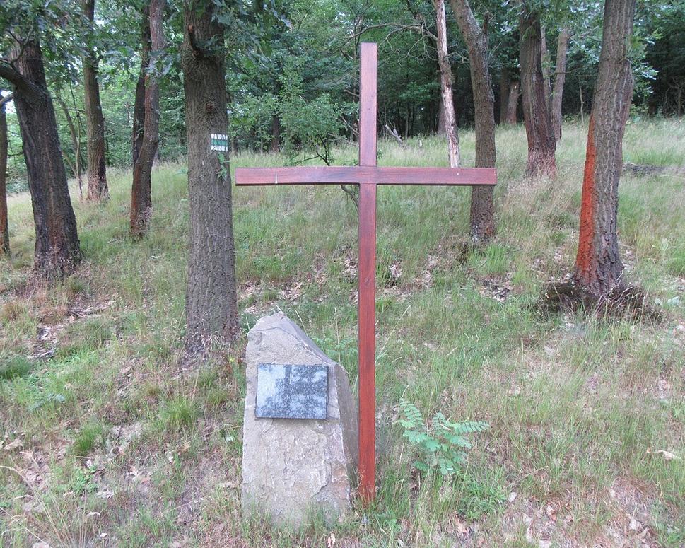 Obrázok blogu
