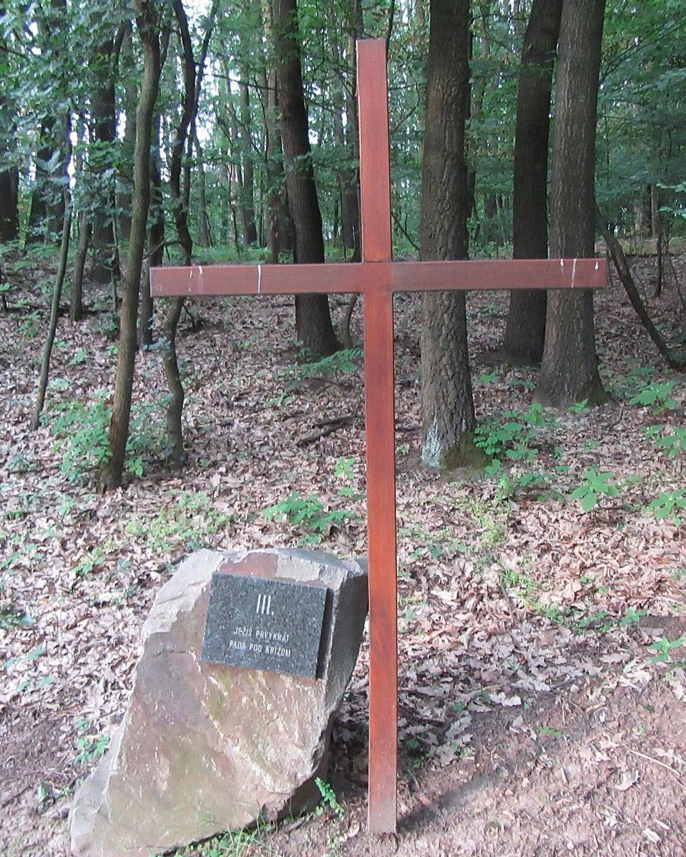 Obrázok blogu