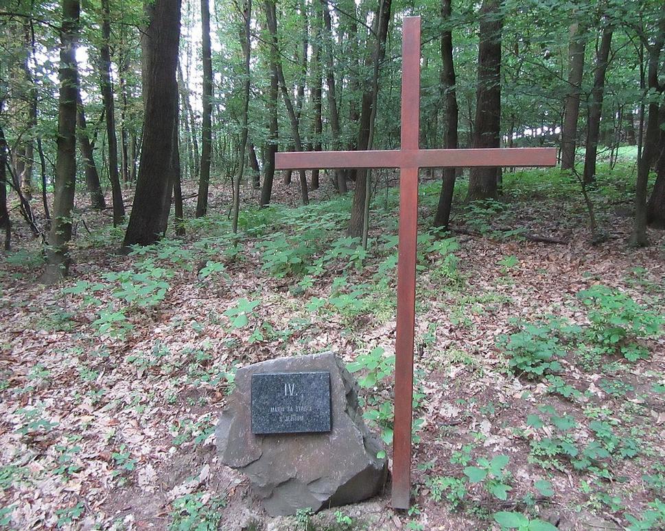 Obrázok blogu