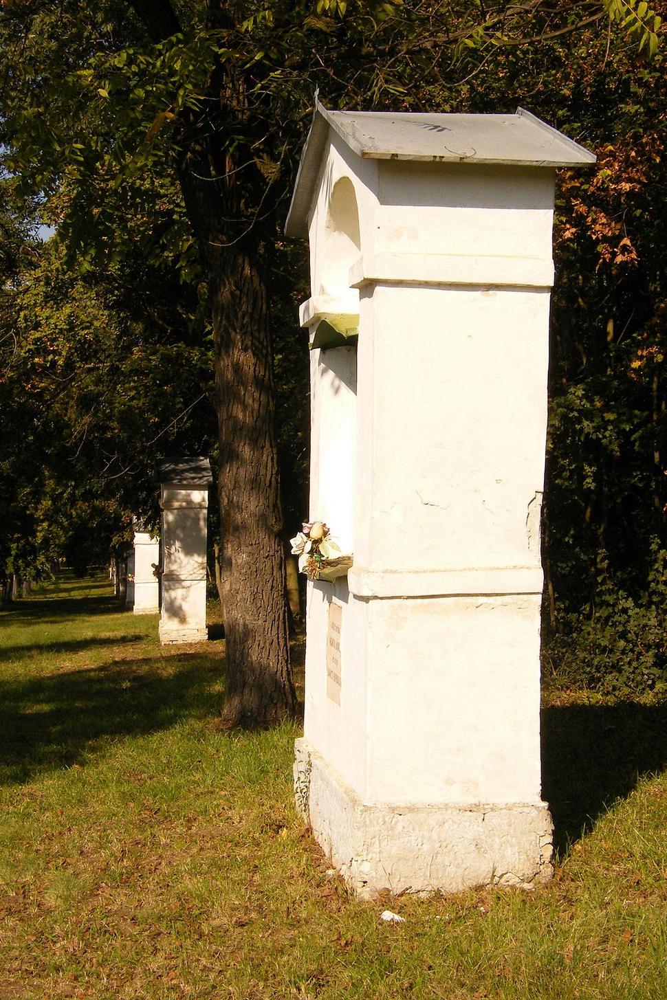 Obrázok blogu