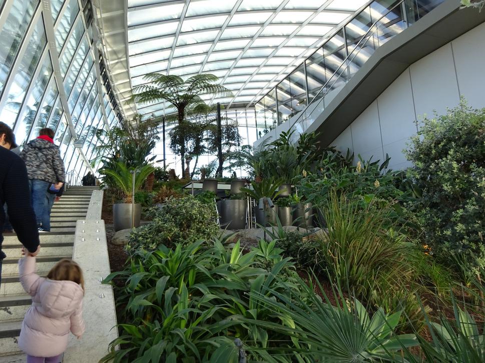 Sky Garden na 35. poschodí Walkie - Talkie
