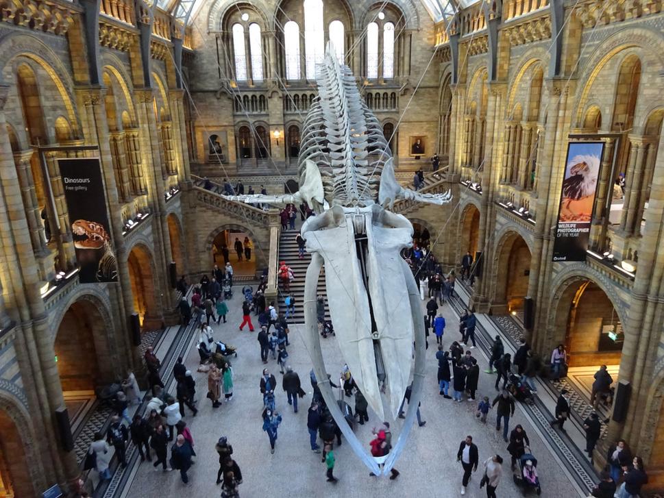 Hintze Hall