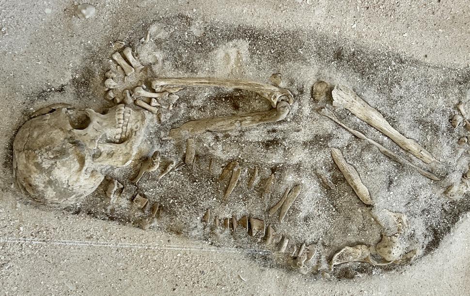 V archeologickom múzeu ostrova Aruba.