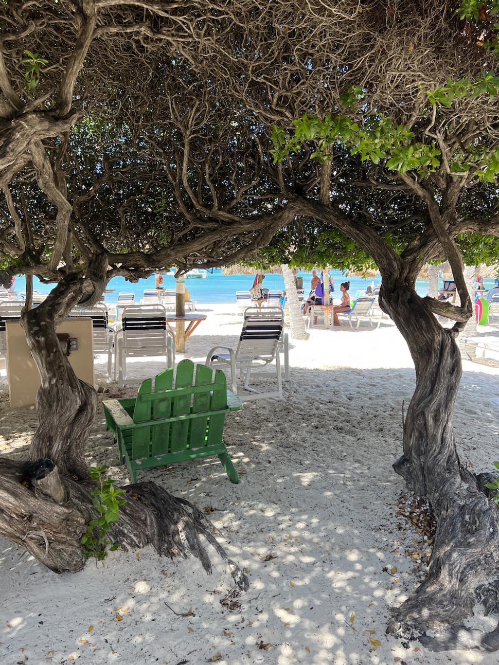 Najkrajšie pláže sú Palm Beach a Eagle Beach. Toto je Palm Beach.