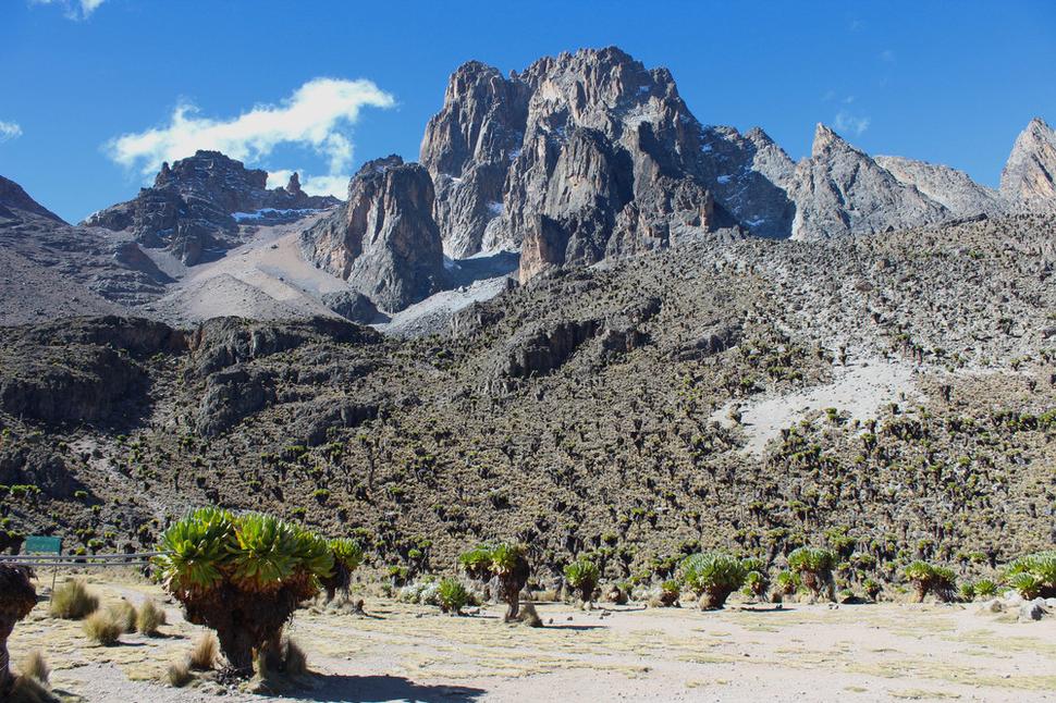 Masív Mt. Kenya od Shipton´s Campu