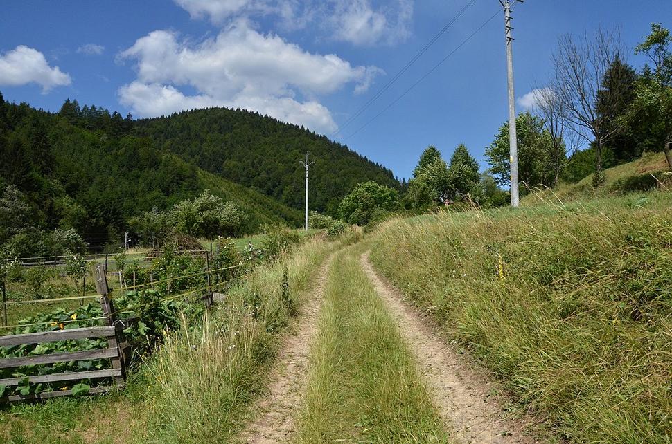 Obrázok blogu